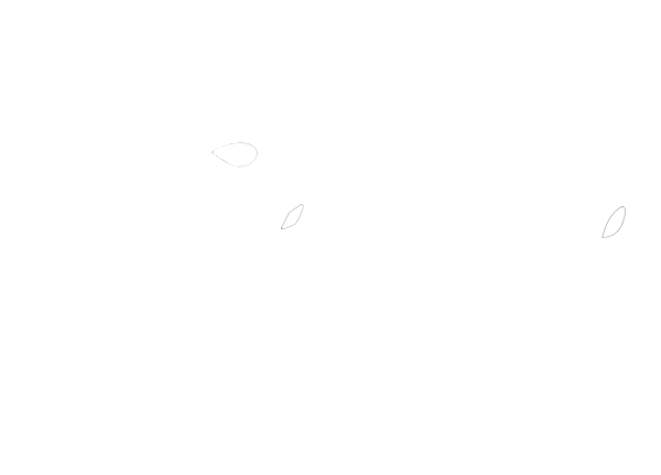 Takamine