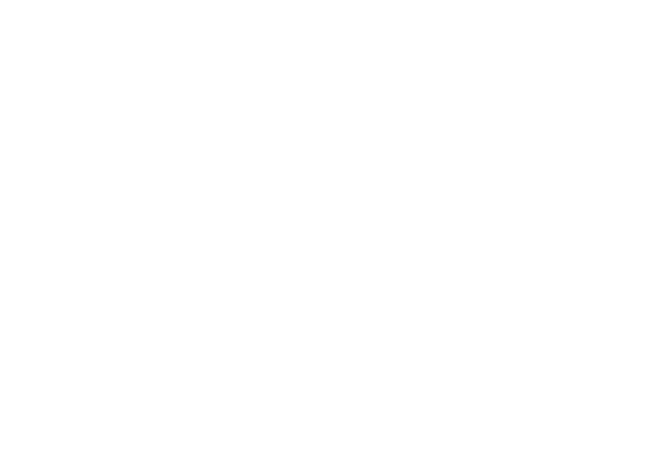 Taylor Guitars