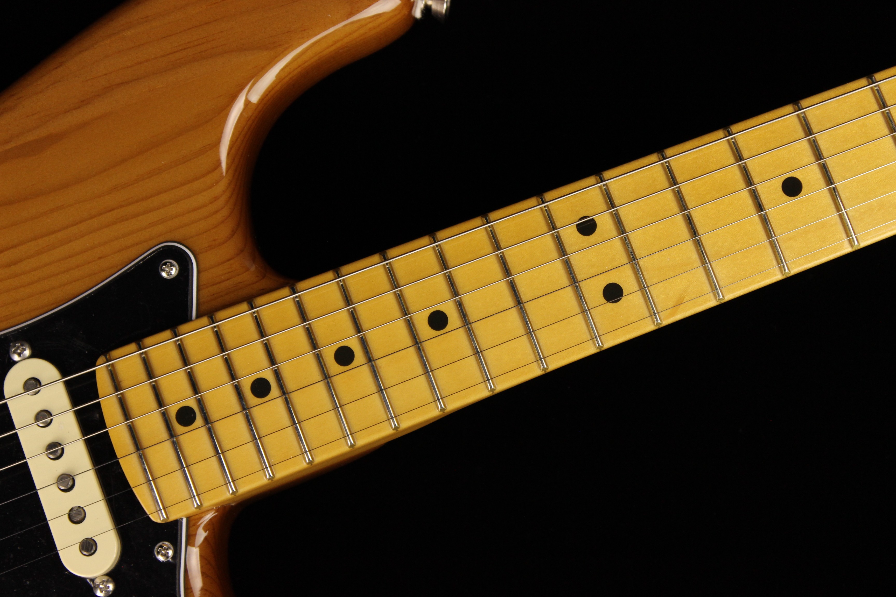 Fender American Professional II Stratocaster Roasted Pine (SN: US210050642)  | Gino Guitars