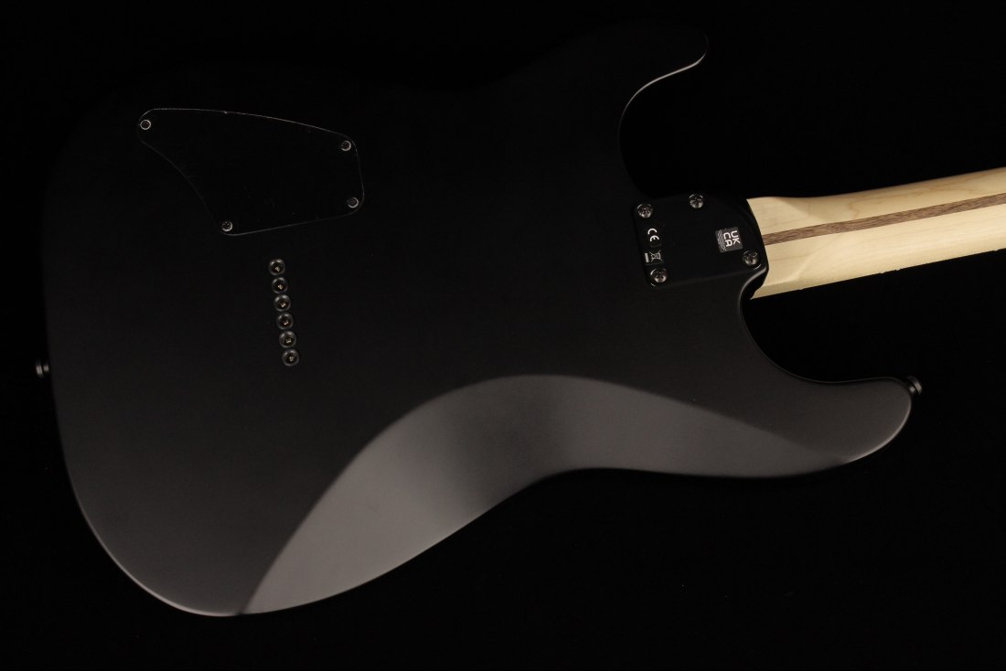 Fender Jim Root Stratocaster