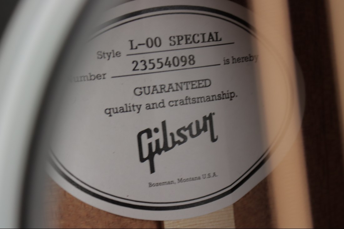 Gibson L-00 Special - VS