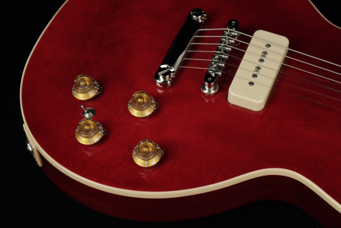 Gibson Warren Haynes Les Paul Standard