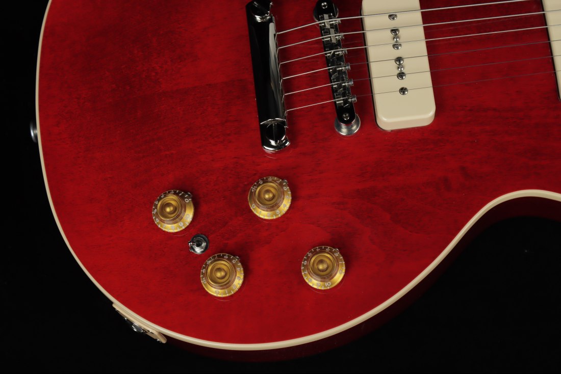 Gibson Warren Haynes Les Paul Standard