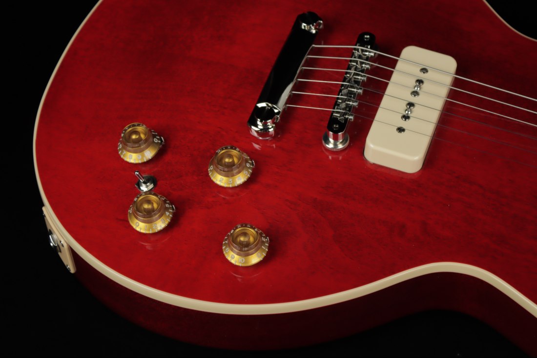 Gibson Warren Haynes Les Paul Standard