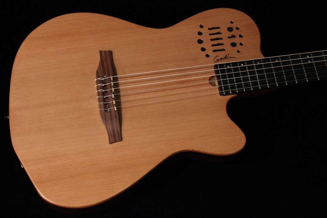 Godin ACS-SA Nylon - NA