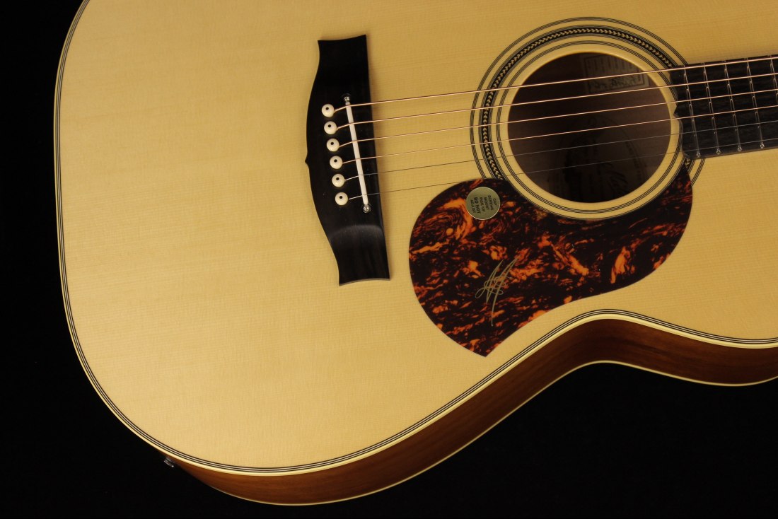 Maton EBG808TE