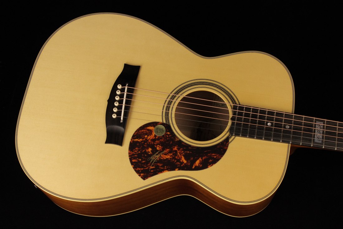 Maton EBG808TE