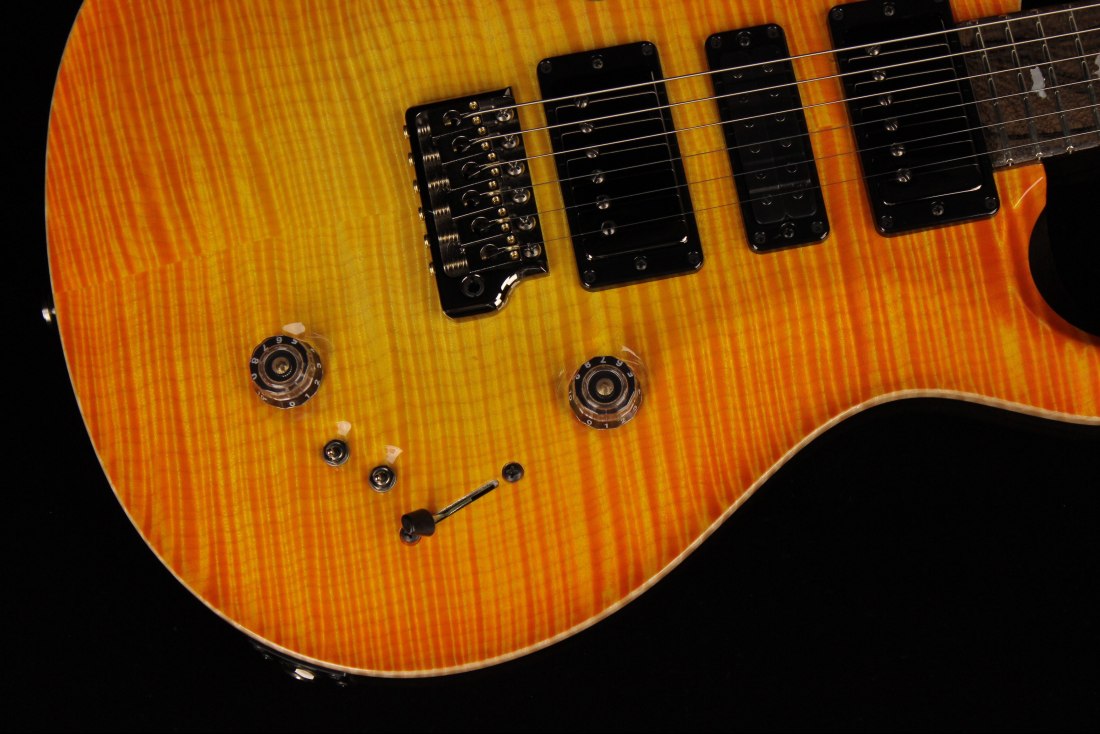 Paul Reed Smith Private Stock Special Semi-Hollow Limited Edition