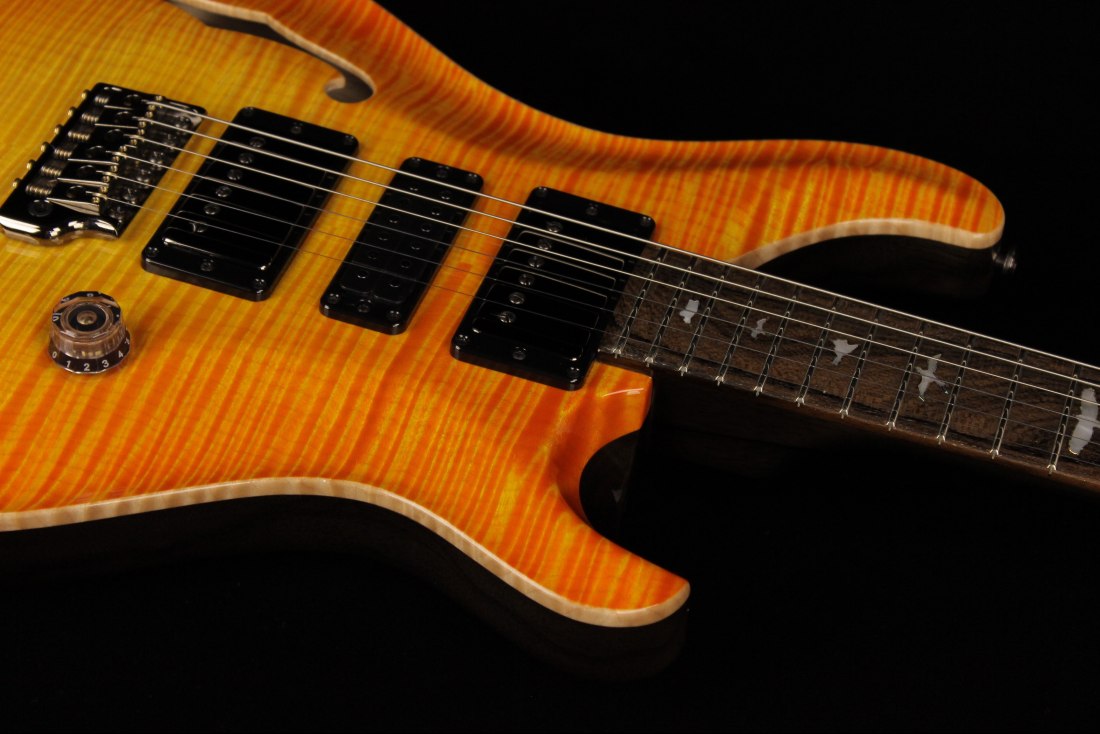 Paul Reed Smith Private Stock Special Semi-Hollow Limited Edition