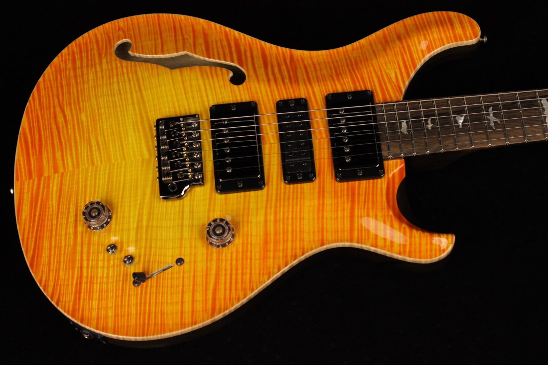 Paul Reed Smith Private Stock Special Semi-Hollow Limited Edition