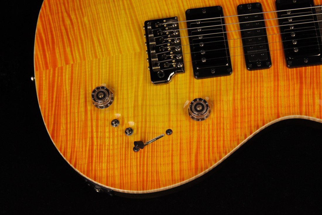 Paul Reed Smith Private Stock Special Semi-Hollow Limited Edition