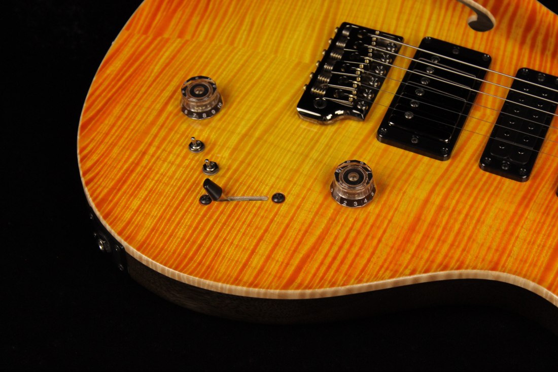 Paul Reed Smith Private Stock Special Semi-Hollow Limited Edition