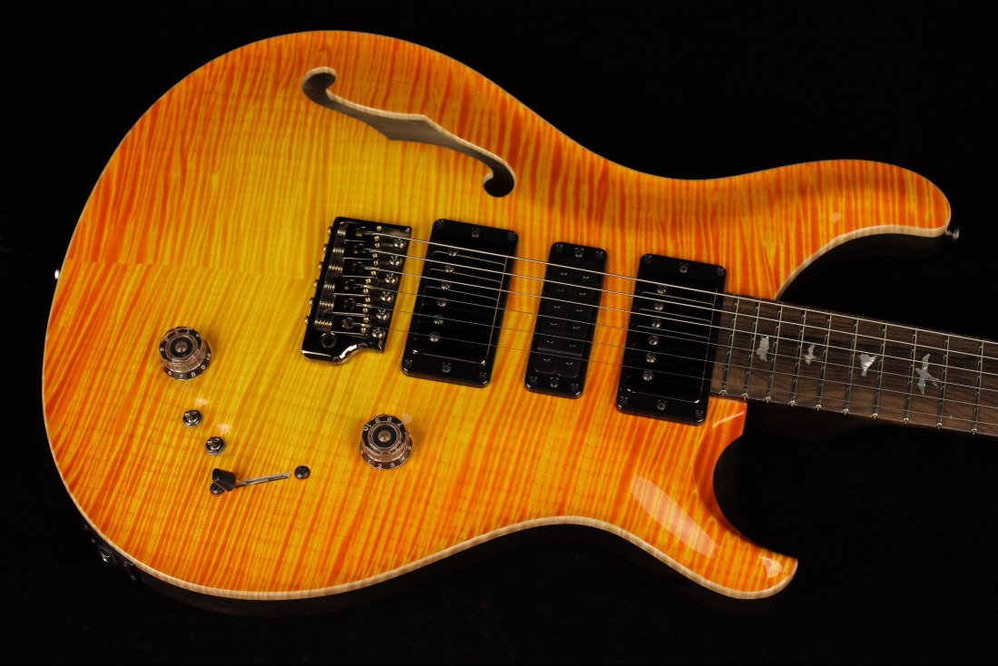 Paul Reed Smith Private Stock Special Semi-Hollow Limited Edition