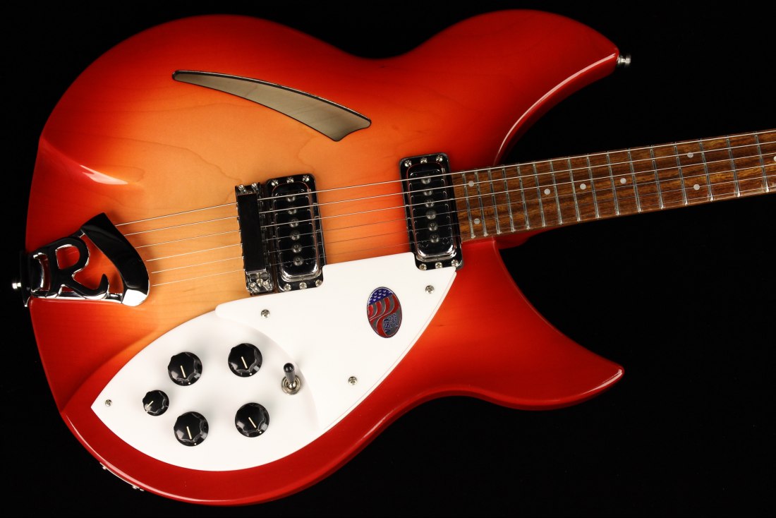 Rickenbacker 330 - FG