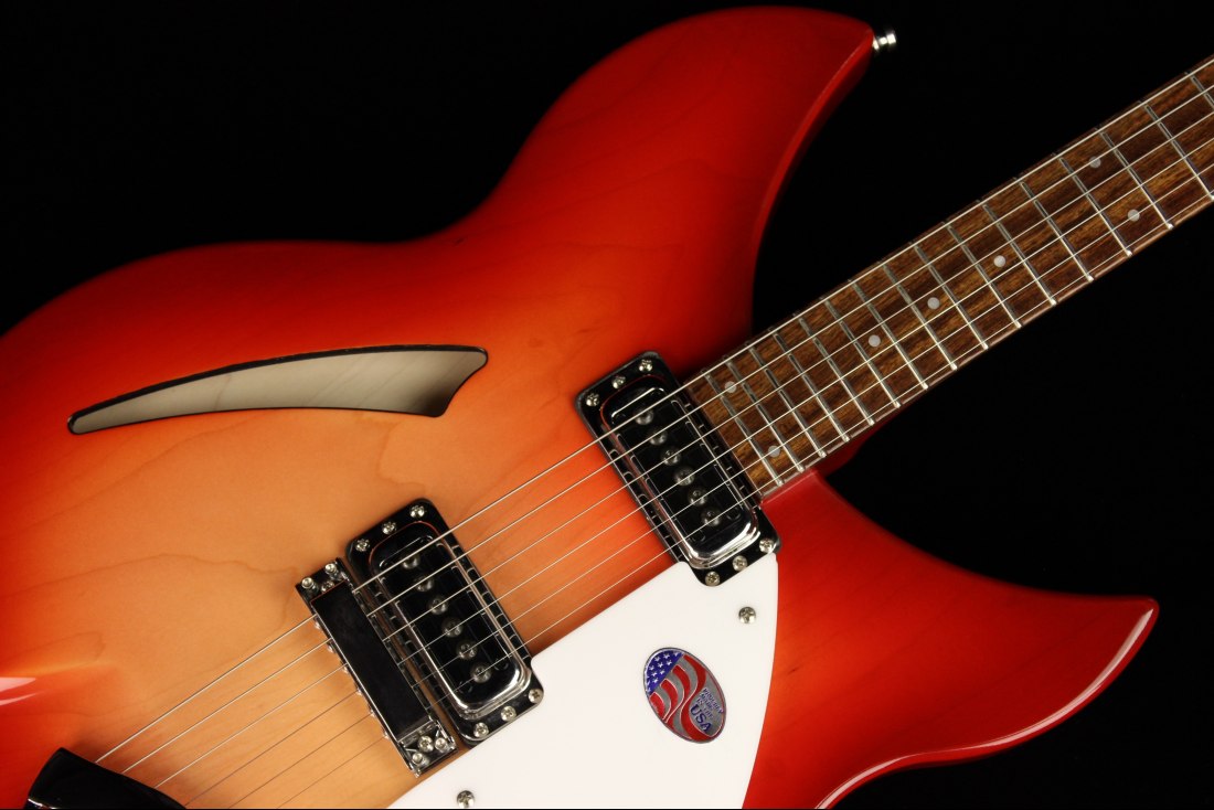 Rickenbacker 330 - FG