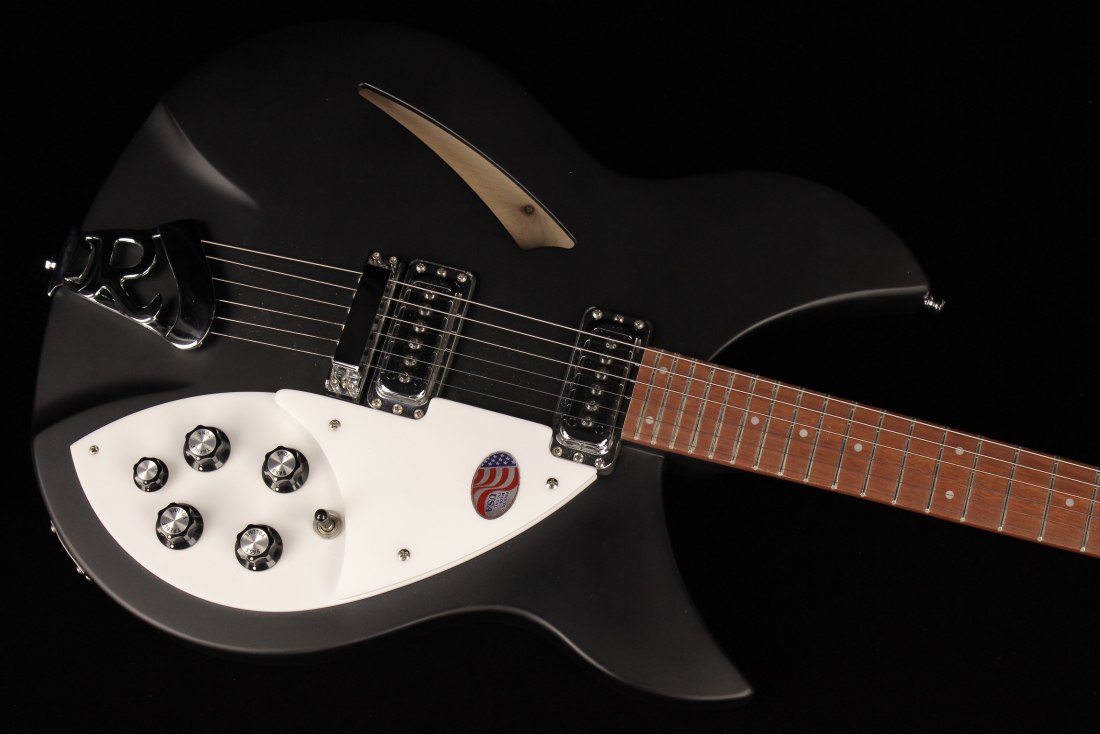 Rickenbacker 330 - MBL