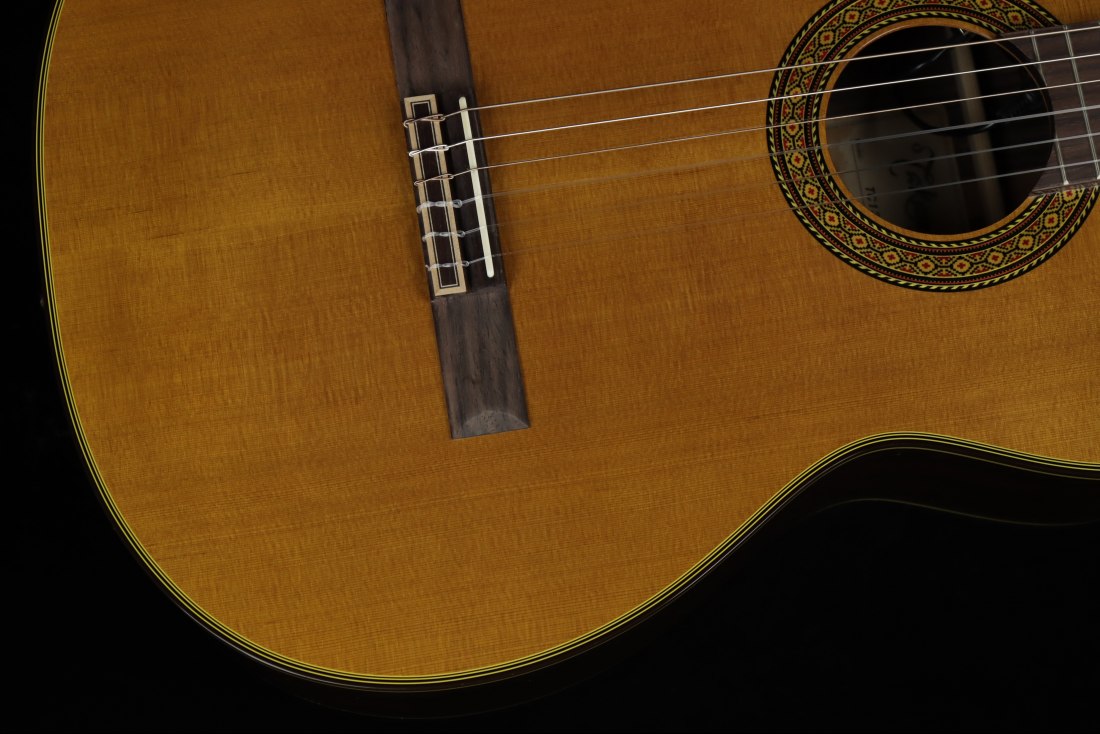 Takamine TC132SC