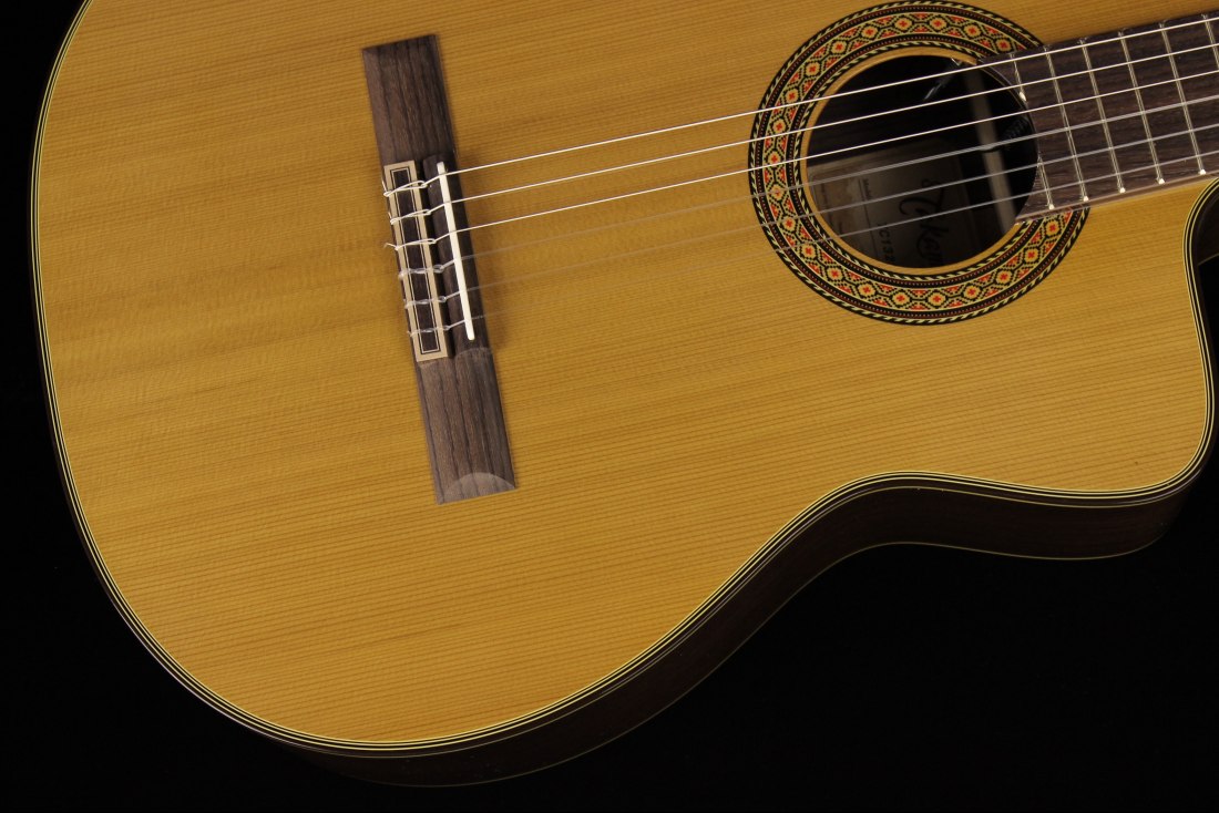 Takamine TC132SC