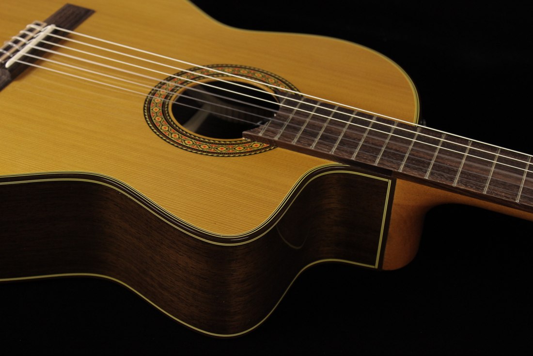 Takamine TC132SC