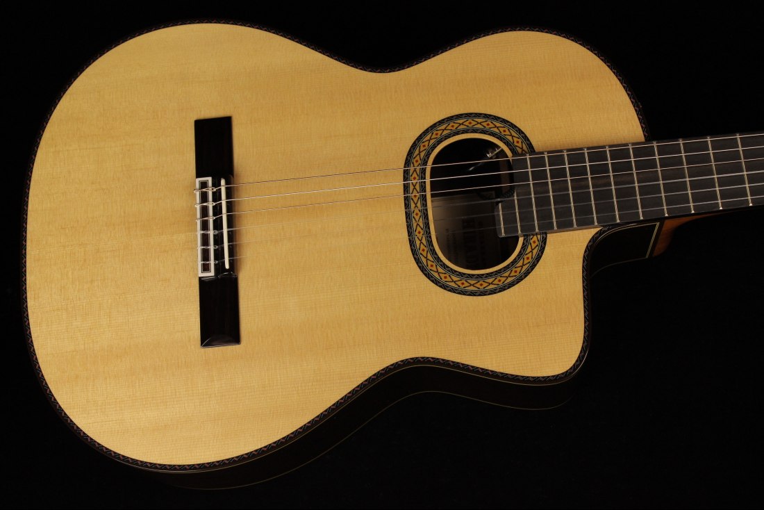 Takamine TH90 Hirade