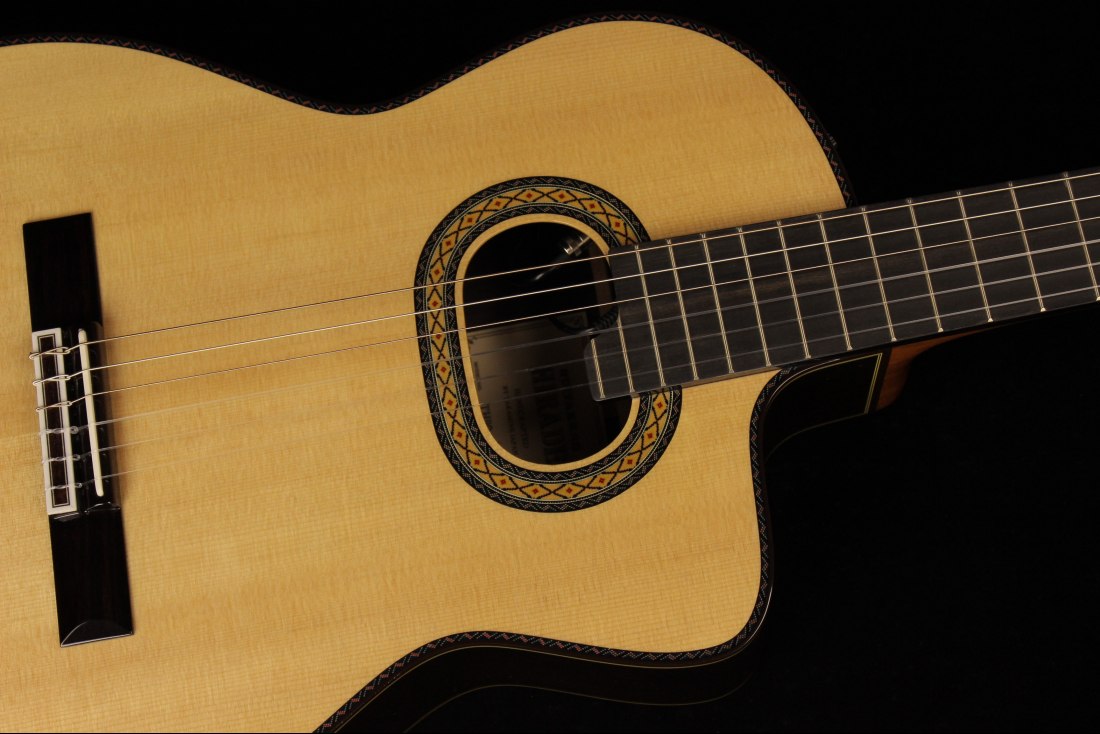 Takamine TH90 Hirade