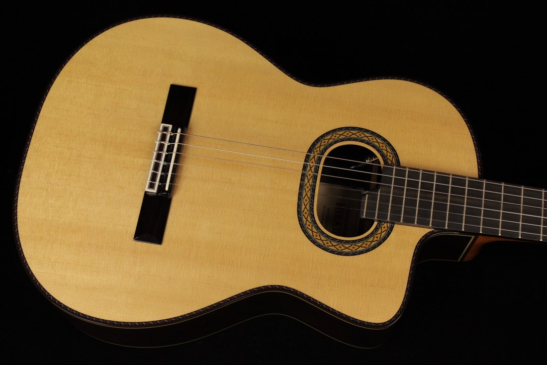 Takamine TH90 Hirade