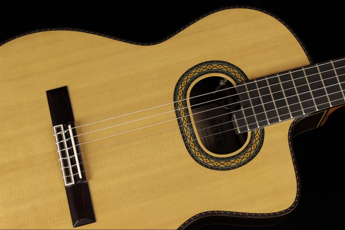 Takamine TH90 Hirade