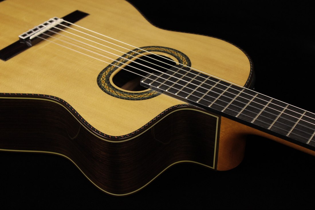 Takamine TH90 Hirade