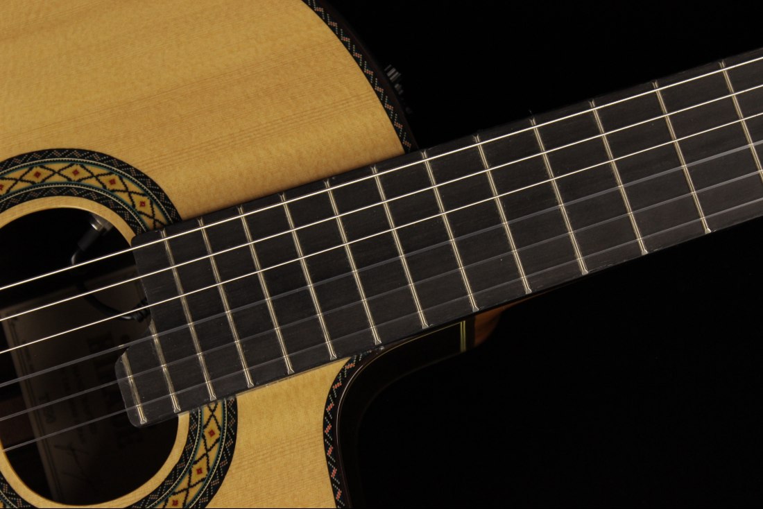 Takamine TH90 Hirade