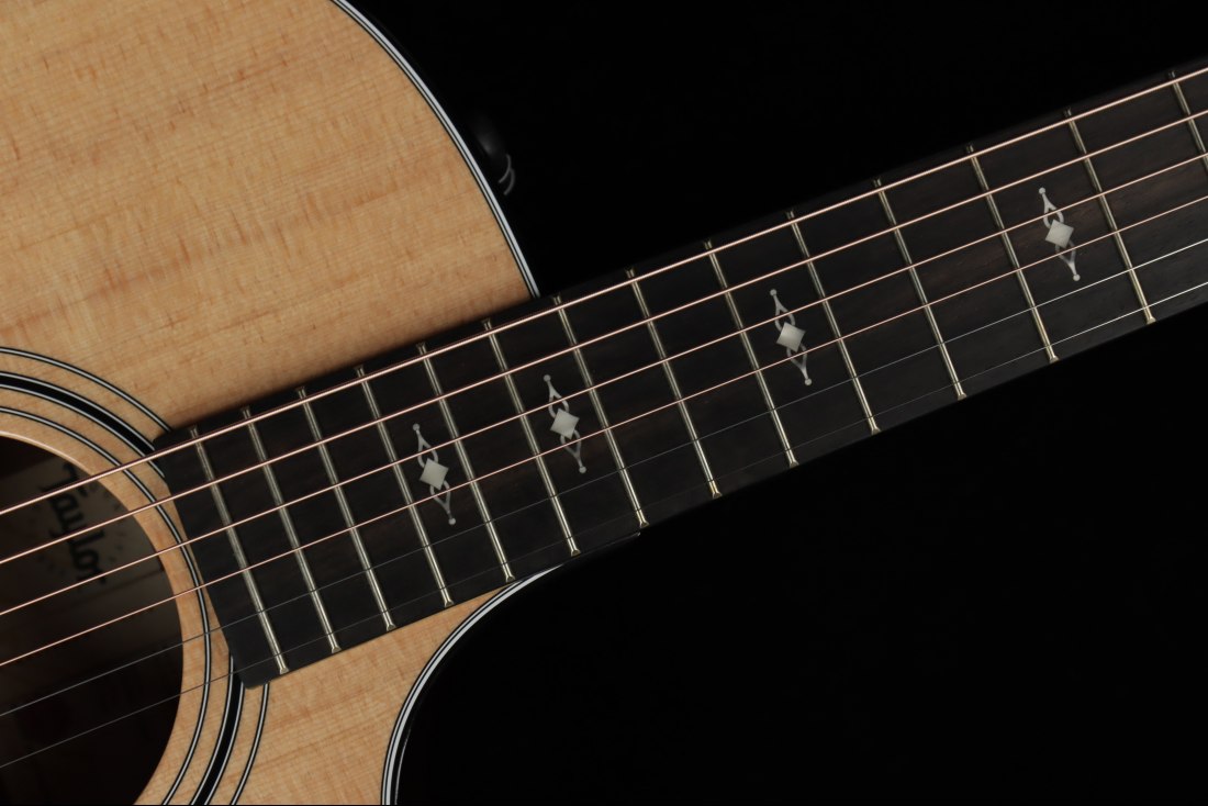 Taylor 314ce