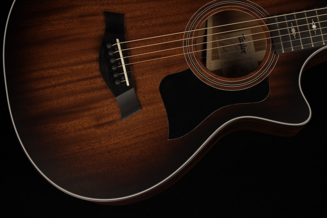 Taylor 322ce 12-Fret V-Class Bracing