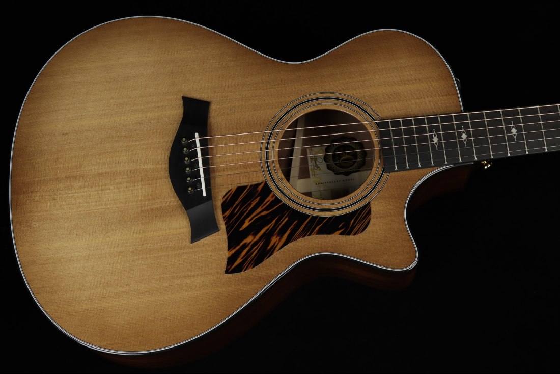 Taylor 50th Anniversary 312ce