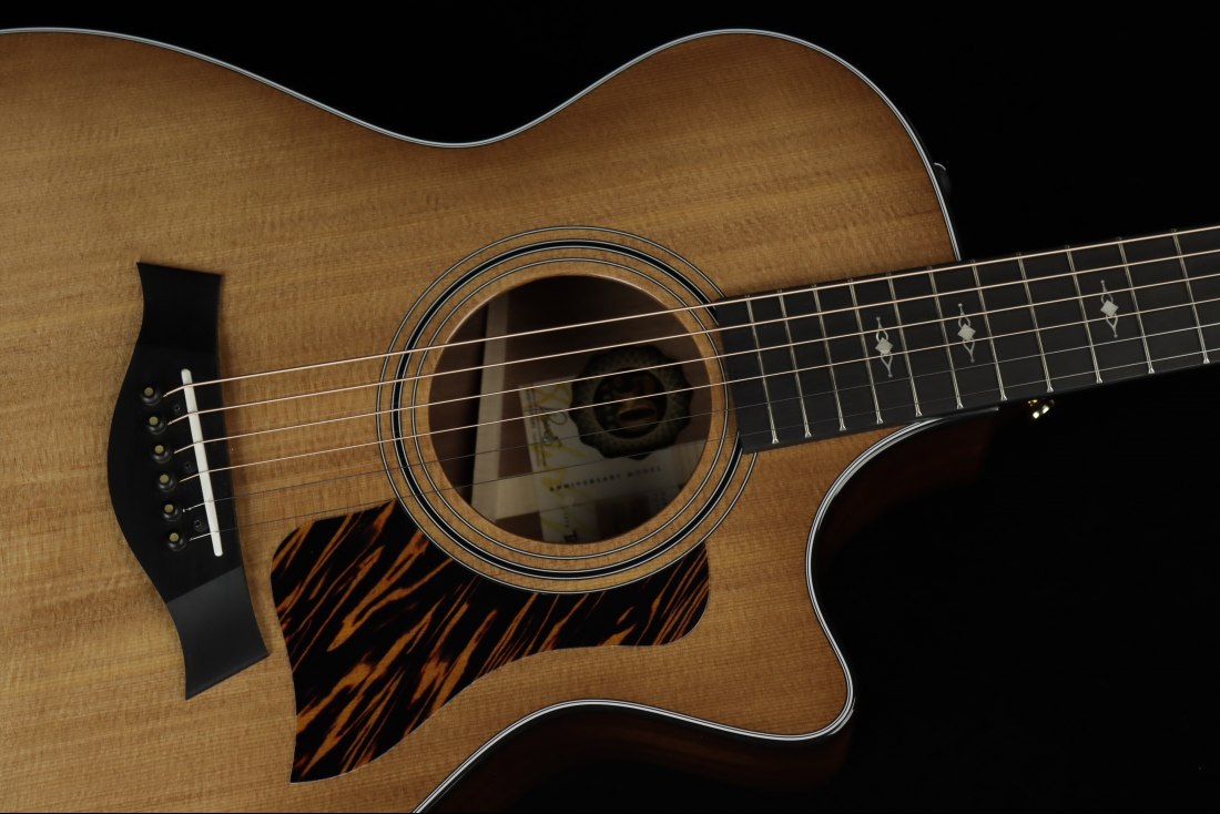 Taylor 50th Anniversary 312ce