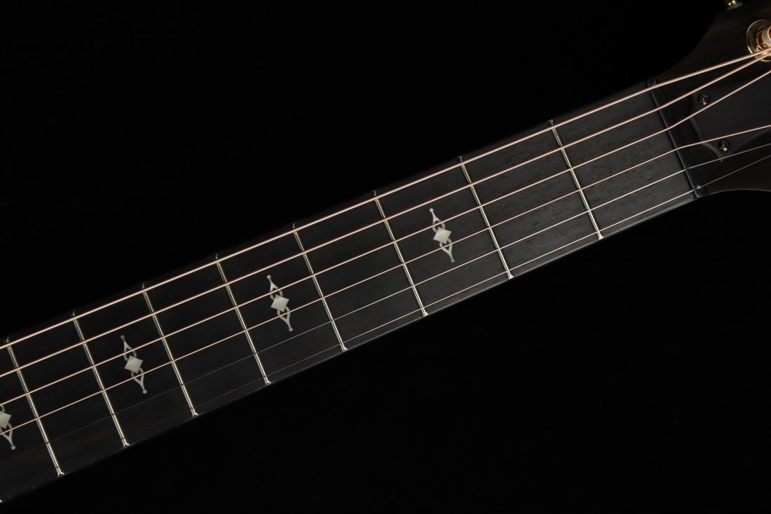 Taylor 50th Anniversary 312ce