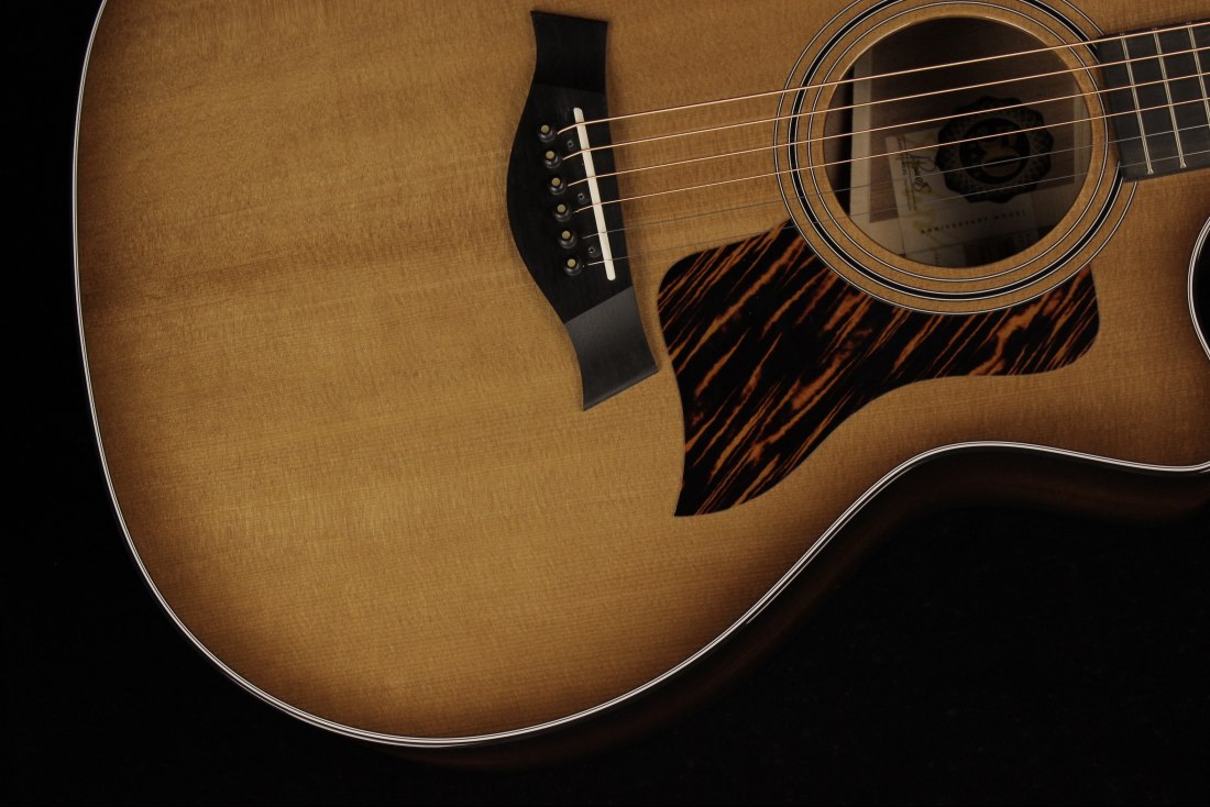 Taylor 50th Anniversary 314ce