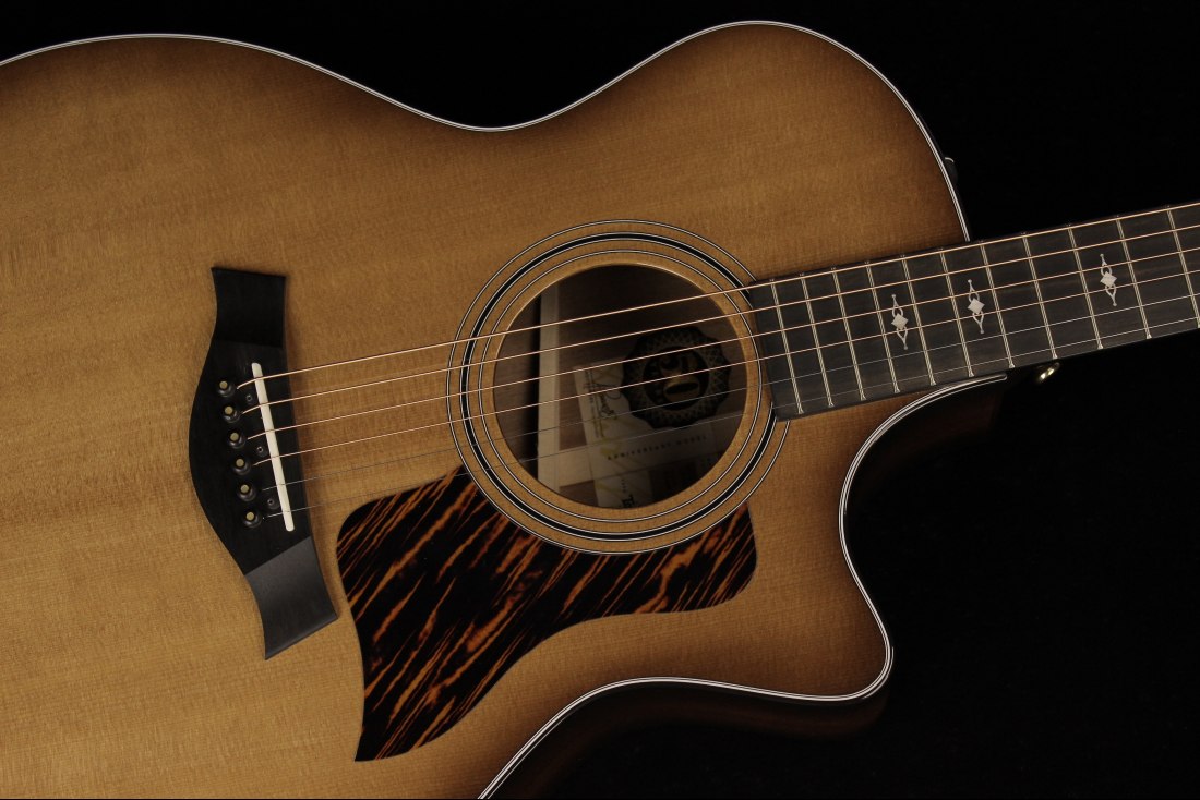 Taylor 50th Anniversary 314ce