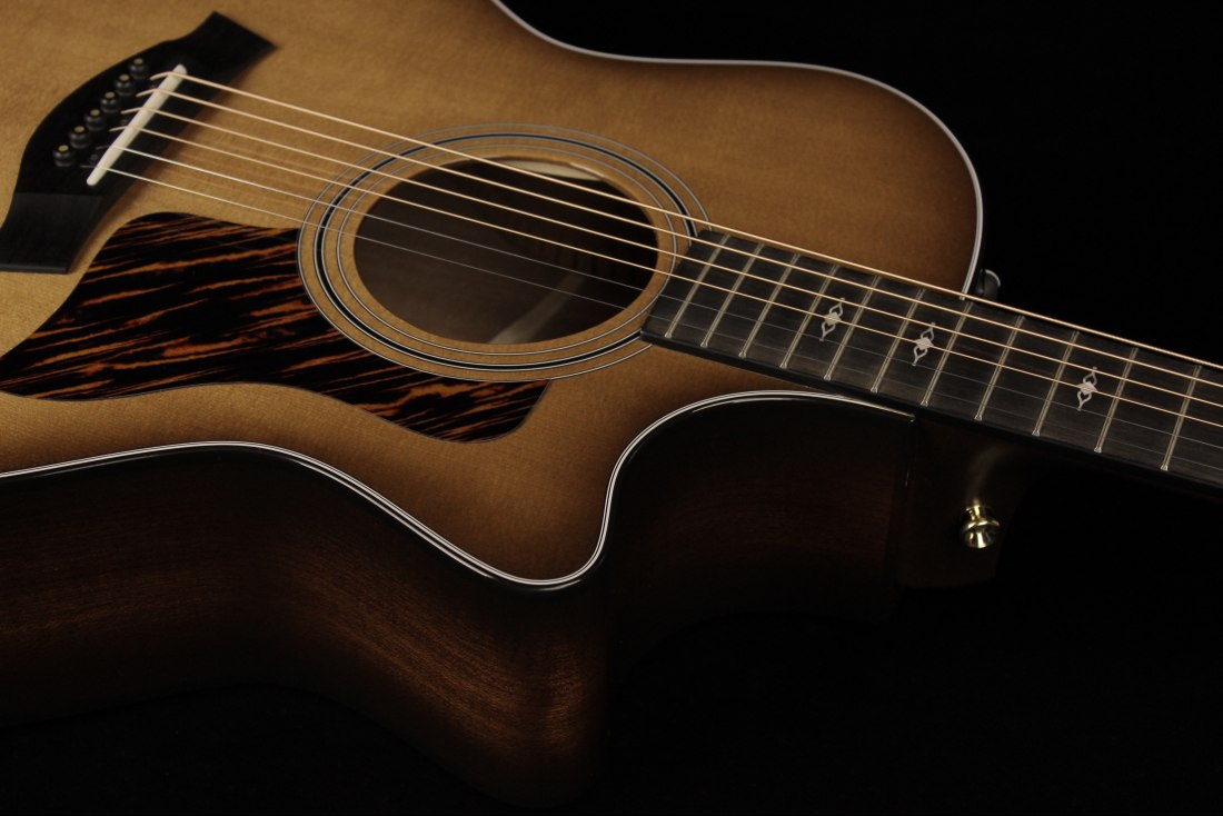 Taylor 50th Anniversary 314ce