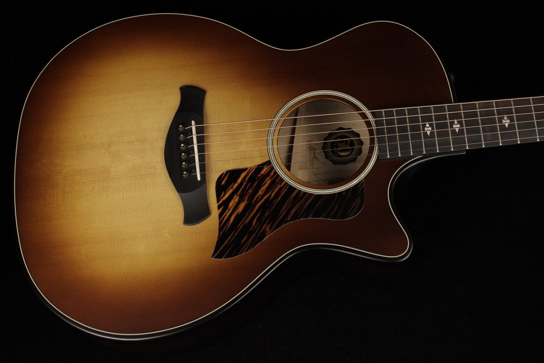 Taylor 50th Anniversary Builder's Edition 314ce - KB