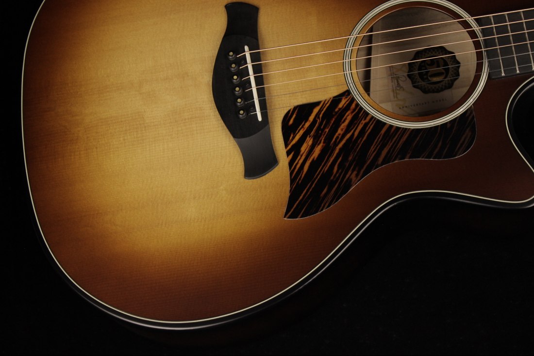 Taylor 50th Anniversary Builder's Edition 314ce - KB