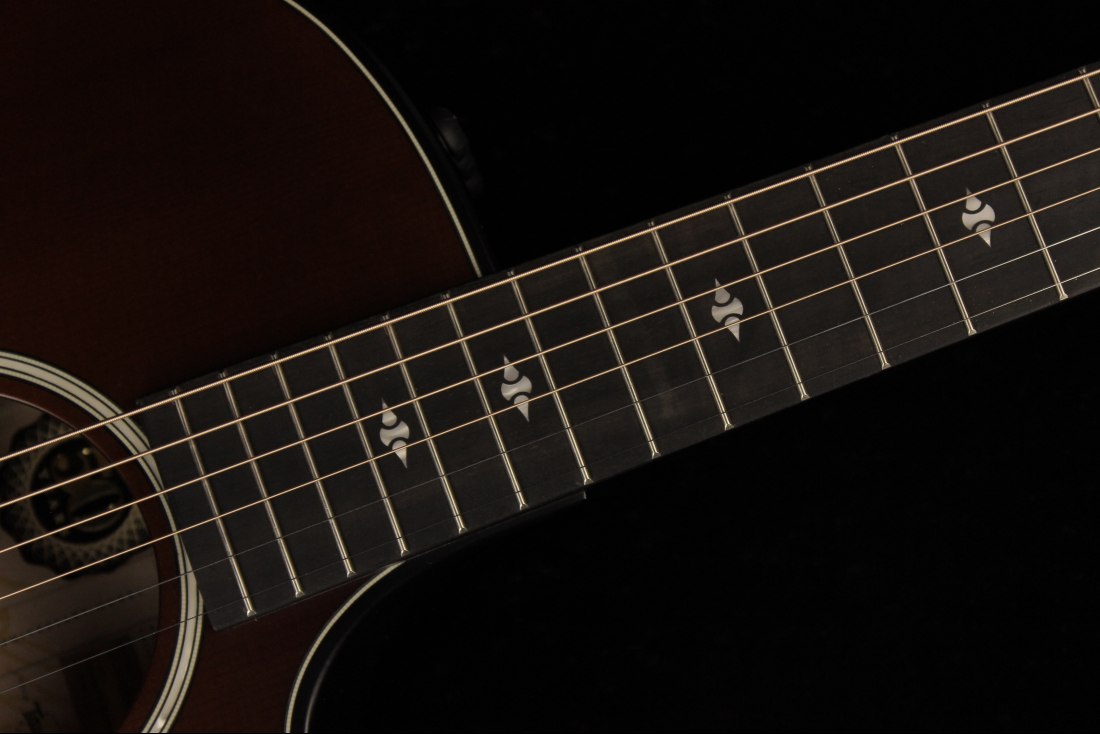 Taylor 50th Anniversary Builder's Edition 314ce - KB