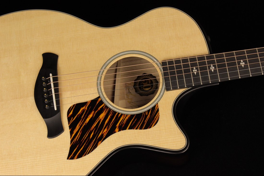 Taylor 50th Anniversary Builder's Edition 314ce - NA