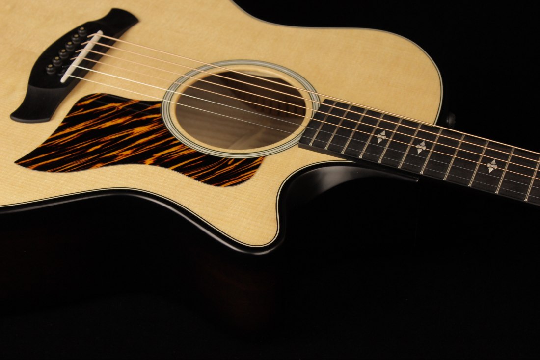 Taylor 50th Anniversary Builder's Edition 314ce - NA