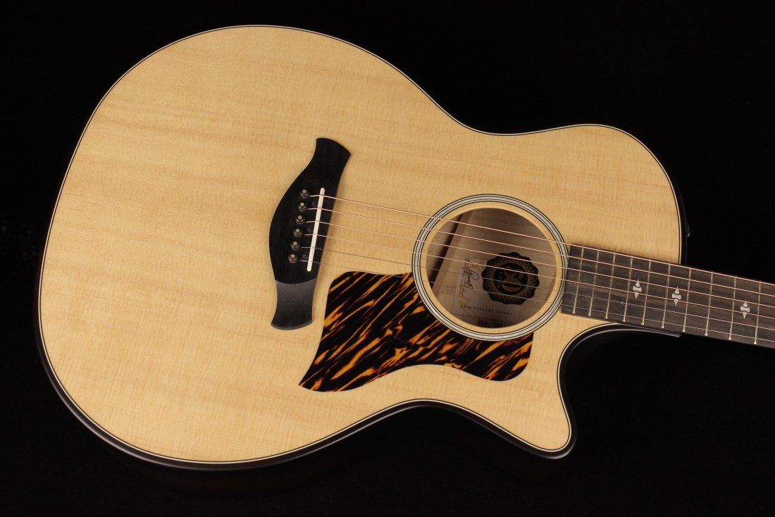 Taylor 50th Anniversary Builder's Edition 314ce - NA