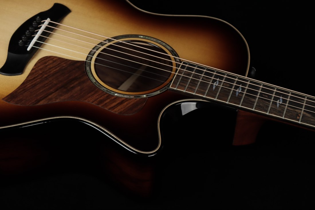 Taylor Builder's Edition 814ce Honduran Rosewood / Adirondack