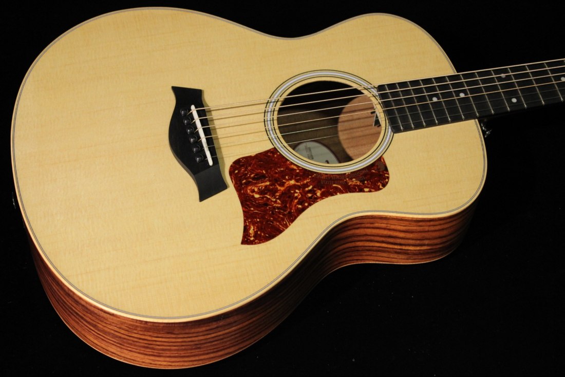 Taylor GS Mini-e RW