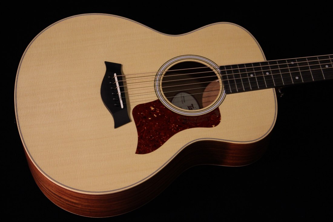 Taylor GS Mini-e RW