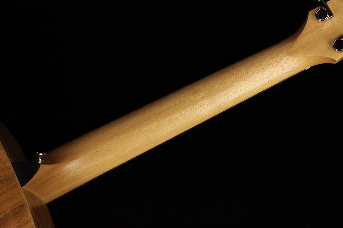Taylor GS Mini-e Koa