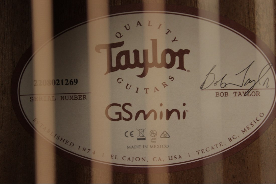 Taylor GS Mini-e Koa