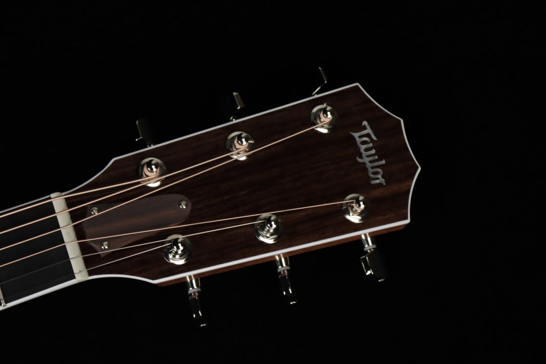 Taylor Legacy 815e