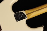 Fender American Professional II Stratocaster - RW OW